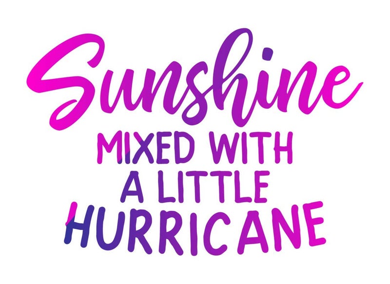 More Shiz Sunshine Mixed with A Little Hurricane Vinyl Decal Sticker - Car Truck Van SUV Window Wall Cup Laptop - One 5.5 Inch Decal - MKS1387 - Image 1